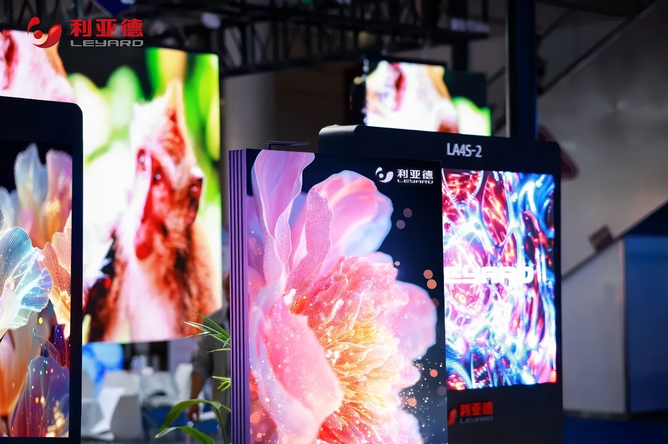 1774000316639920.jpg 640 (4).jpg